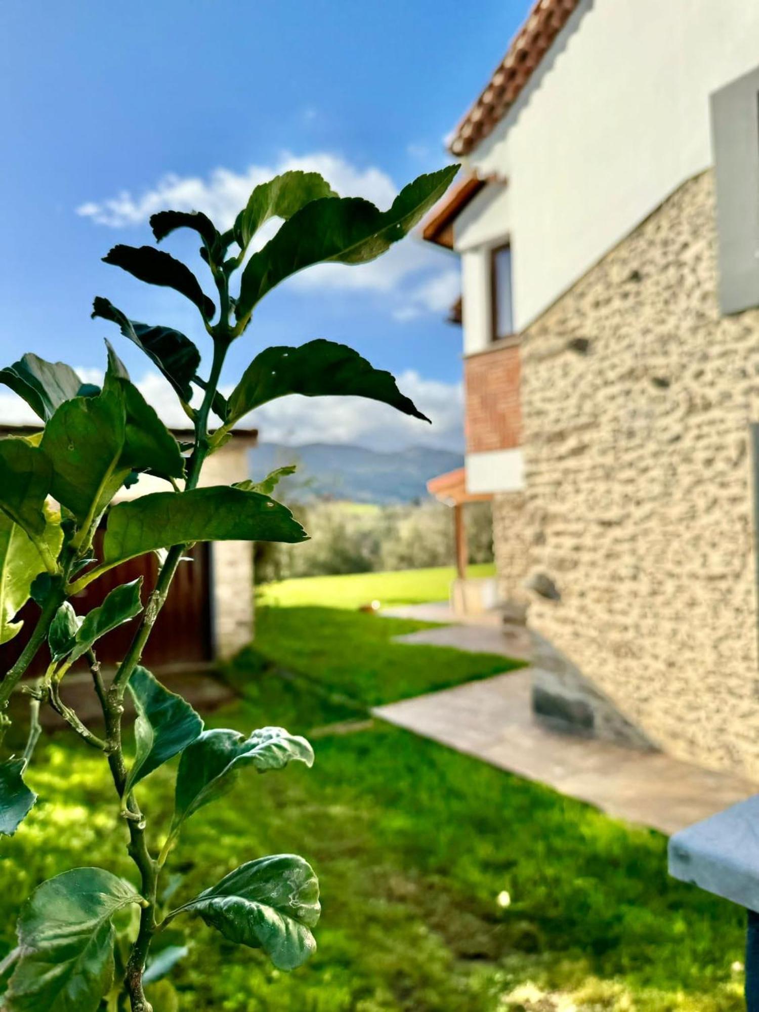 Terradeva Apartamentos Colombres Esterno foto